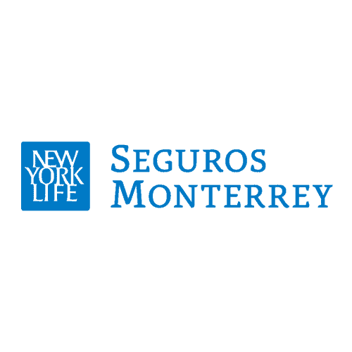 Seguro 13